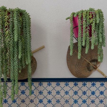 Chez Odete Hotel Figueira da Foz Eksteriør billede